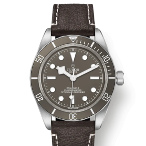 Tudor Black Bay Fifty-Eight 925, 39mm, 925 Silver, Ref# M79010SG-0001