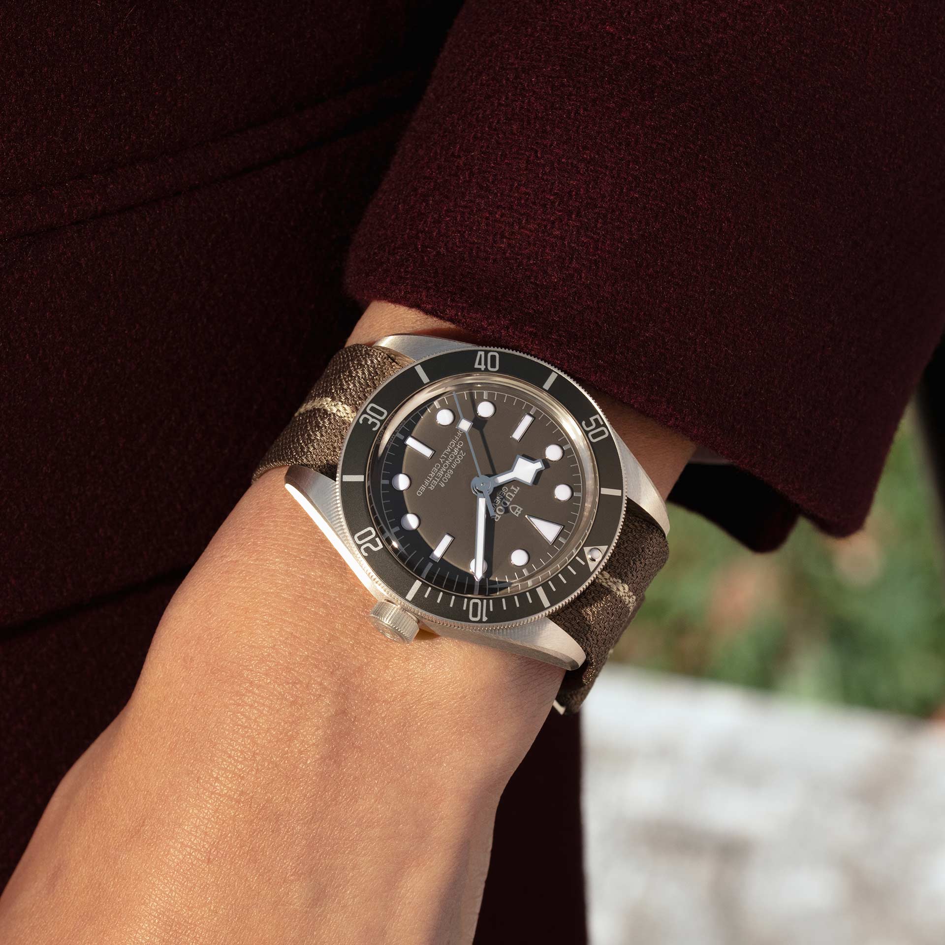 Tudor Black Bay Fifty-Eight 925, 39mm, 925 Silver, Ref# M79010SG-0002 - Image 6