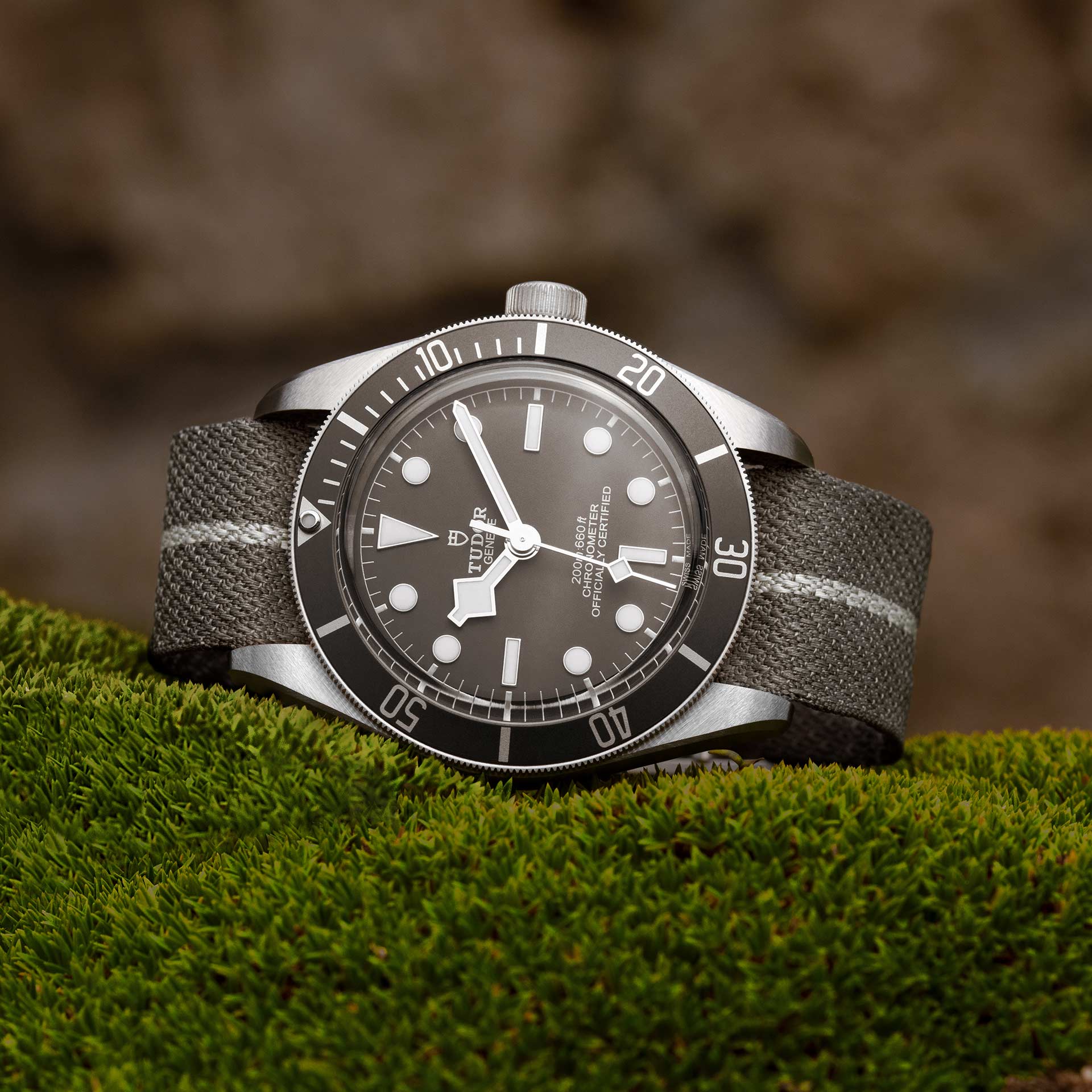 Tudor Black Bay Fifty-Eight 925, 39mm, 925 Silver, Ref# M79010SG-0002 - Image 3